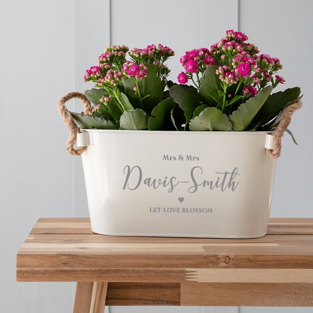 holy cross urgent care inc