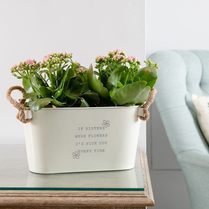 May include: White metal planter with rope handles, featuring the text "If sisters were flowers I'd pick you every time". The planter is filled with green plants with pink flowers.