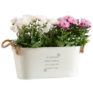 May include: White and pink chrysanthemums in a white metal planter with rope handles. The planter has the text "If sisters were flowers I'd pick you every time" printed on it.