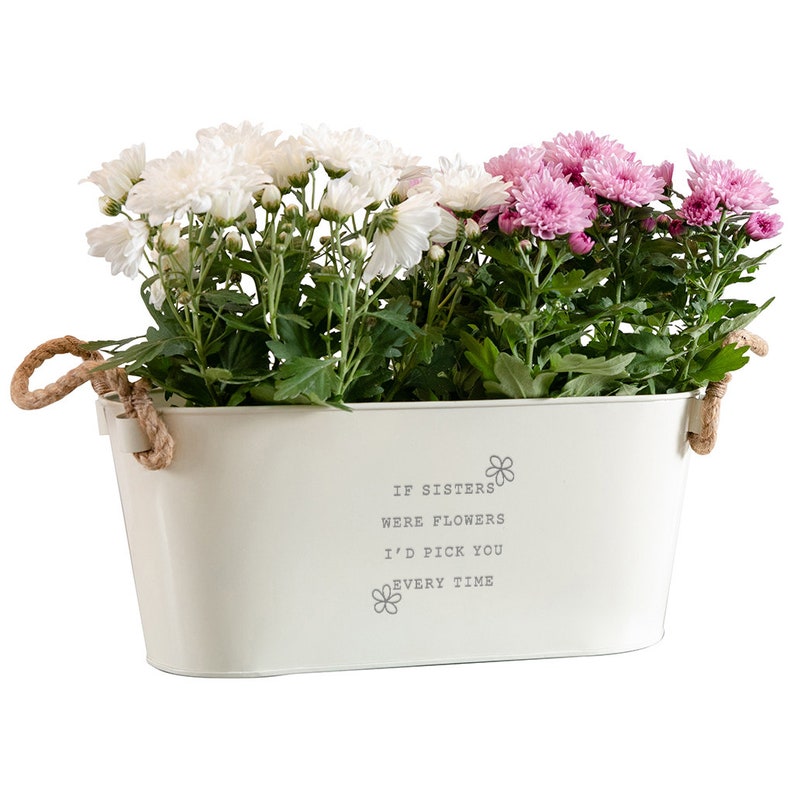 May include: White and pink chrysanthemums in a white metal planter with rope handles. The planter has the text "If sisters were flowers I'd pick you every time" printed on it.