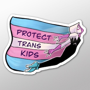 Pride Stickers - Protect Trans Kids - die cut sticker
