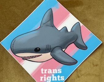 Pride Stickers - trans rights shark - die cut sticker