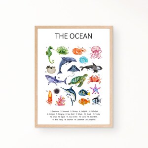 Ocean Animals Poster, Educational Poster, Nursery Prints, Homeschool Decor, Classroom Decor, Playroom Posters, Montessori, Sealife Poster