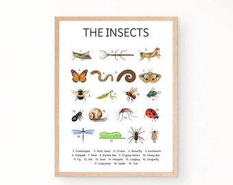 Insectenposter, educatieve poster, poster homeschool, decor homeschool, decor klas, poster speelkamer, poster montessori, poster kinderkamer