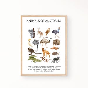 Australian Animals Poster, Educational Poster, Homeschool Poster, Classroom Decor, Playroom Poster, Montessori Poster, Nursery Prints