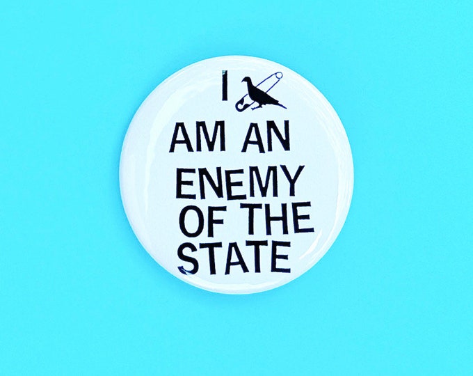 Enemy of the State Pin