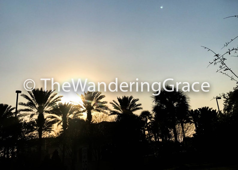 The Wandering Grace Photography Tropical ORLANDO PALM SUNSET 4x6 5x7 8x10 Options
