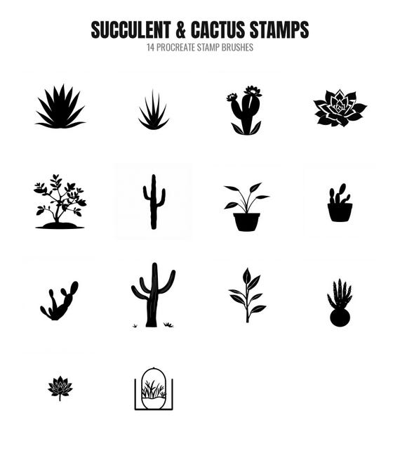 Succulent Cactus Procreate Stamps, 14 Plant Brush…
