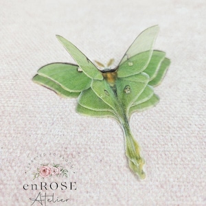 Könnte beinhalten: Ein grüner Luna-Motte mit durchsichtigen Flügeln, der auf einer hellrosa strukturierten Oberfläche ruht. Der Falter hat einen langen, schlanken Körper und zarte Flügel. Das Bild enthält den Text "Crafted to Bloom" und "enROSE Atelier".