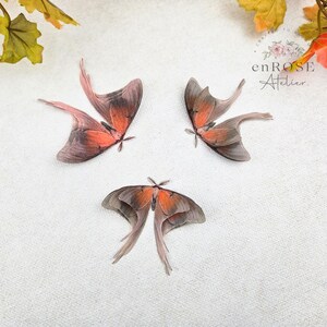 May include: Three delicate, orange and brown butterfly wings with intricate patterns, arranged on a white background. The wings are translucent and have a delicate, almost ethereal quality.