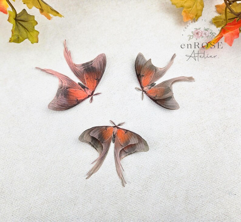 May include: Three delicate, orange and brown butterfly wings with intricate patterns, arranged on a white background. The wings are translucent and have a delicate, almost ethereal quality.