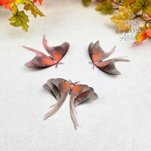 May include: Three delicate, orange and brown butterfly wings with a translucent, almost paper-like texture. The wings are arranged on a white background.