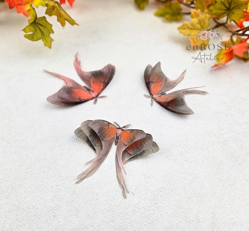 May include: Three delicate, orange and brown butterfly wings with a translucent, almost paper-like texture. The wings are arranged on a white background.