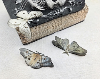 May include: Three delicate butterfly specimens, two white with brown markings and one green with brown markings, are displayed on a white surface. The white butterflies are on top of an antique book with a skull design.