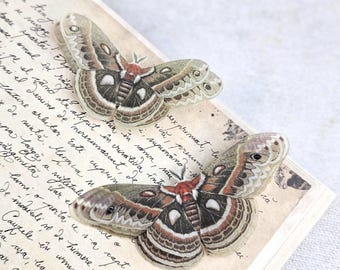 May include: Two delicate, translucent butterfly wings with intricate patterns in shades of brown, white, and gray. The wings are arranged on a vintage-looking piece of paper with handwritten text.