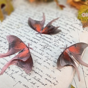 May include: Three delicate, pink and brown butterfly wings are arranged on a page of an old, handwritten journal. The wings have a translucent quality and are slightly overlapping.
