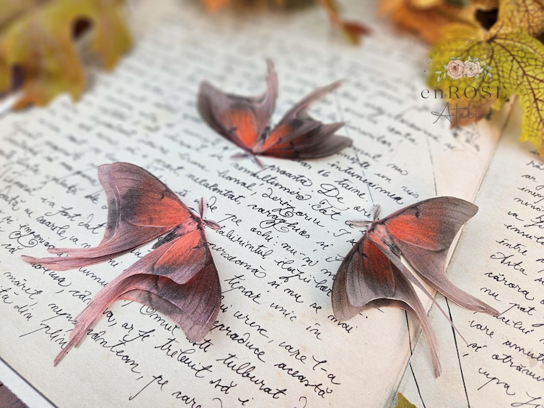 May include: Three delicate, pink and brown butterfly wings are arranged on a page of an old, handwritten journal. The wings have a translucent quality and are slightly overlapping.