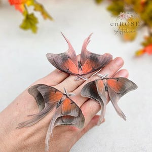 May include: Three delicate, hand-painted moth wings in shades of brown, orange, and pink. The wings are arranged on a hand, with the text "enROSE Atelier" visible in the background.