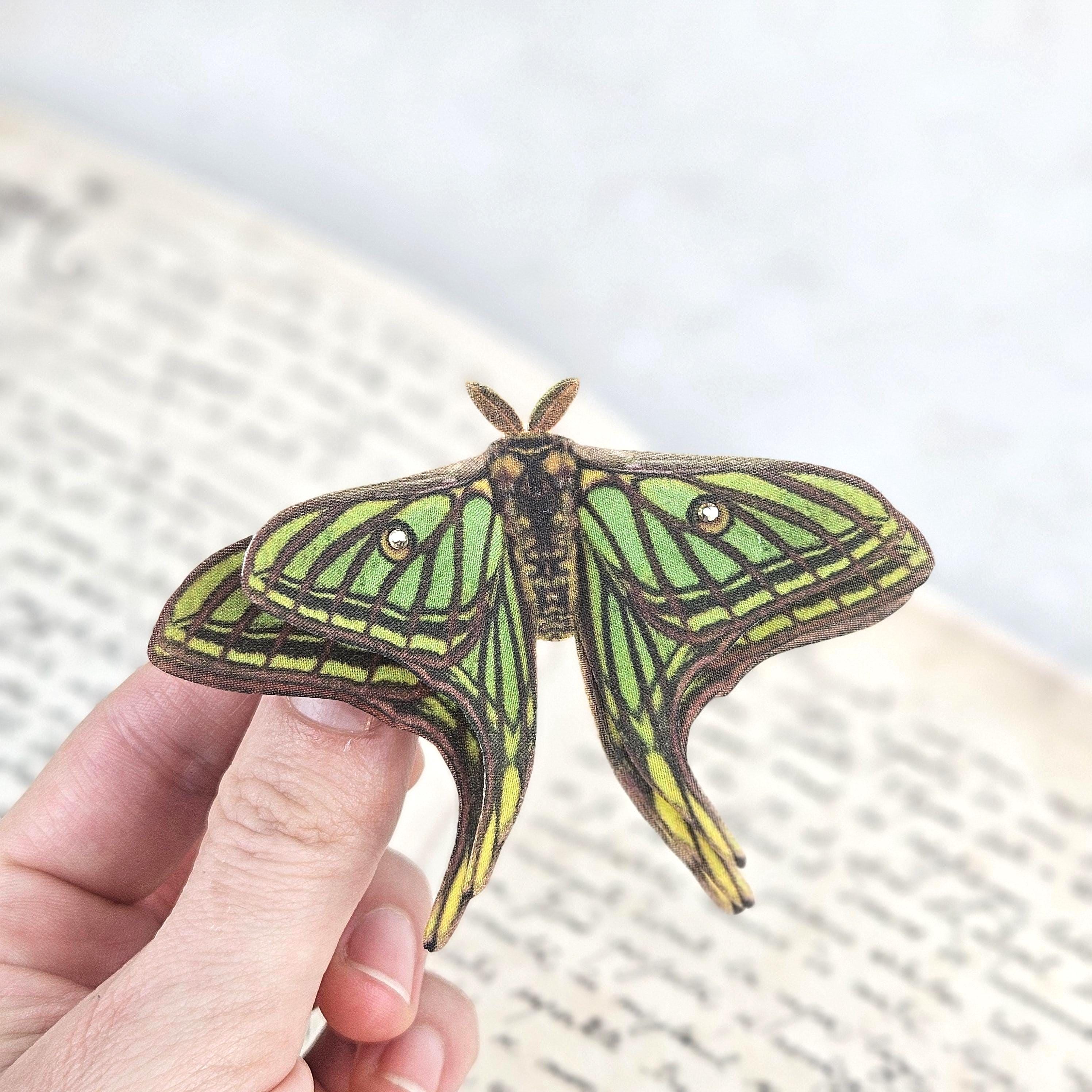 Saturniidae moth - Etsy 日本