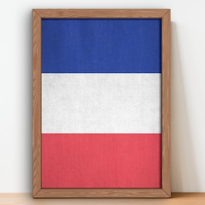 France Flag Poster wall art prints French Flag