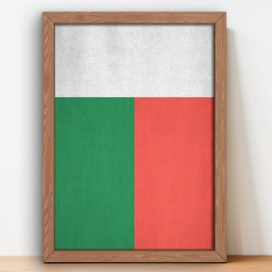 Madagaskar vlag poster kunst aan de muur wordt afgedrukt Madagaskar vintage vlag
