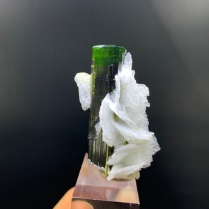 Astak Tourmaline