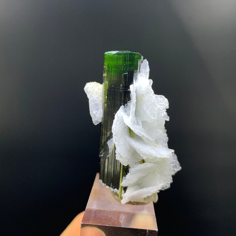 Astak Tourmaline