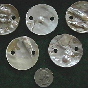 May include: Five round, white, iridescent mother-of-pearl buttons with two holes each. The buttons have a natural, organic texture and are approximately 1 inch in diameter.