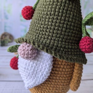 Amigurumi Gnom Gnome Handgemachte Gnome Gehäkelte Gnome Amigurumi Spielzeug Haus Spielzeug Schönes Geschenk Häkeln Dekor Geschenk für Kinder