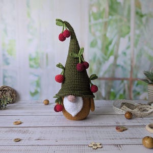 Gnom Handgemachte Gnom Amigurumi Gnom Gehäkelte Gnom Amigurumi Spielzeug Haus Spielzeug Nettes Geschenk Häkeln Dekor Geschenk für Kinder