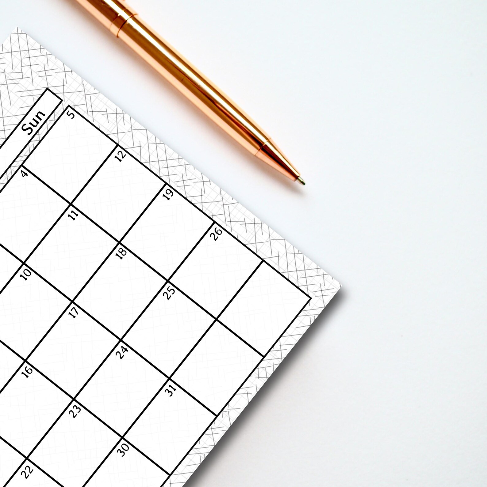 Editable January 2025 Printable Calendar Fillable Printable Digital ...