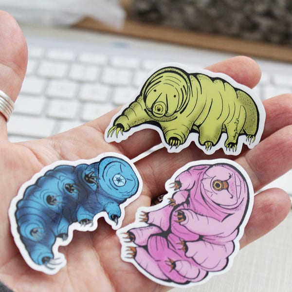 Tardigrade or Water Bear Art Sticker 3 Pack by Surly Amy Davis Roth