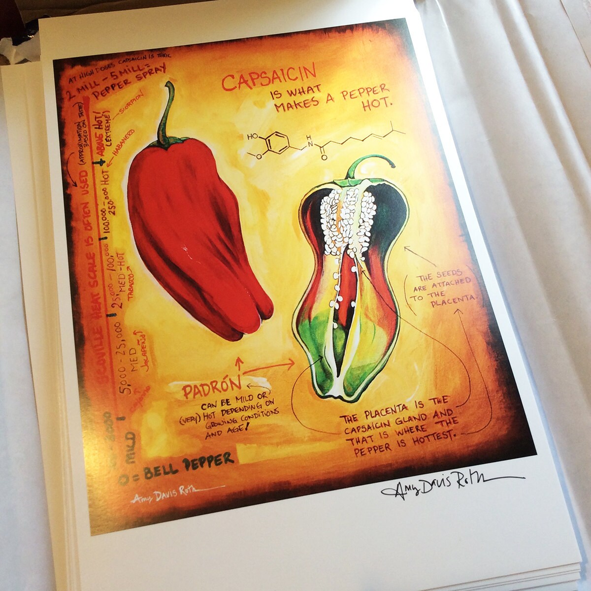 Capsaicin Padrón Pepper Science Art Print 11x17 Poster Art by - Etsy