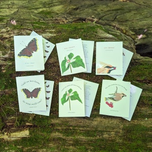 Lot de 6 cartes de voeux vierges, illustrations aquarelles originales et poèmes inspirés de la flore et de la faune des Montagnes Blanches