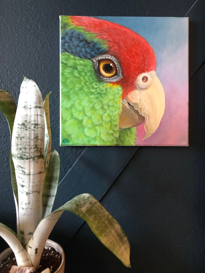 Red Crowned Amazon Original Oil Painting 12/'x12/' Oil on Canvas