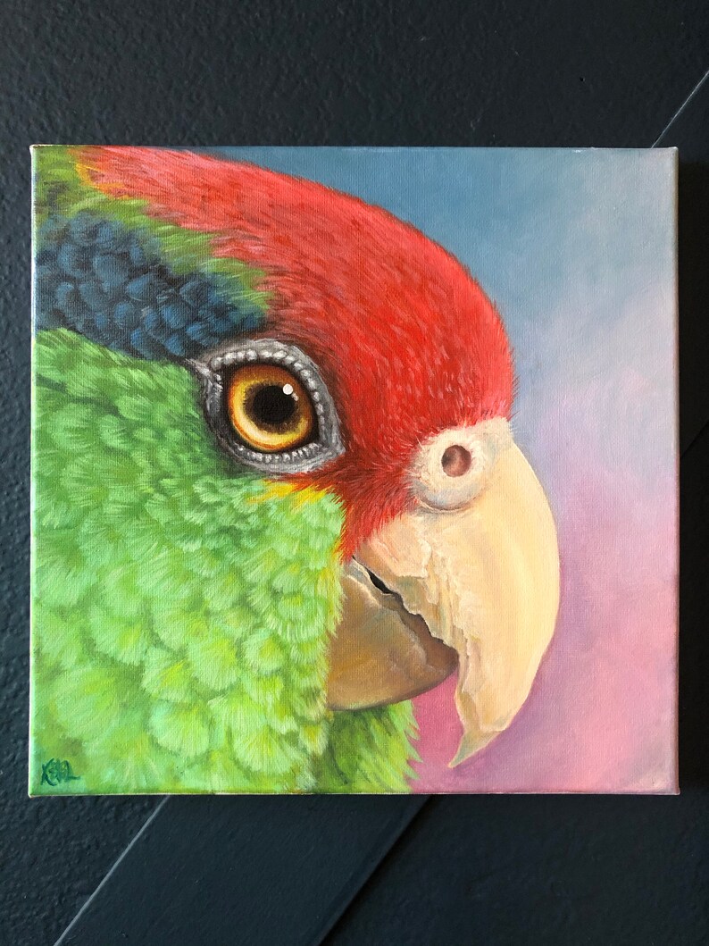 Red Crowned Amazon Original Oil Painting 12/'x12/' Oil on Canvas