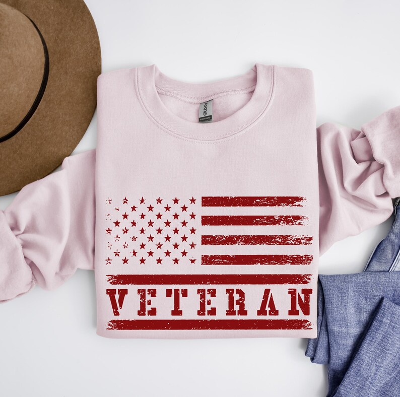 May include: A pink sweatshirt with a distressed American flag and the word "VETERAN" printed in red.