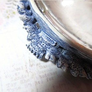 May include: Close-up of a decorative dish with a blue and white textured edge. The edge has a detailed, coral-like design. The word "FLORENZAO" is visible on a small rectangular label. The dish appears to be made of ceramic or a similar material.