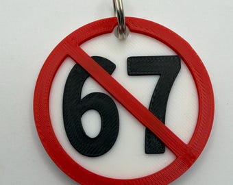 Ban 67 Keyring – Tik-Tok Brainrot, No 67 Zone, 3D Printed