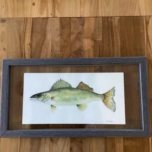 Custom Watercolor Walleye Painting in Frame - Fisherman Gift Idea