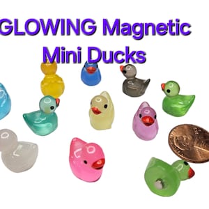 Ducks for Cruising Ducks Duck Duck Jeep Magnet Mini Glowing Ducks for Hiding on Cruise Party Favors Duck Lovers Miniature Ducks with Magnets
