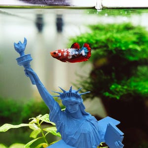 May include: A vibrant Betta fish swims near a blue Statue of Liberty figurine in an aquarium. The fish displays a mix of red, white, and blue colors. Green plants and water complete the aquatic scene.