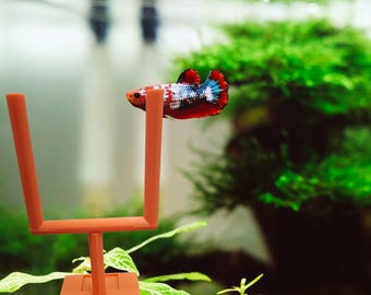 Mini Fish Football Fish Tank Football