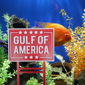 K&ouml;nnte beinhalten: Ein rotes Schild mit dem wei&szlig;en Text "GULF OF AMERICA" und Sternen dar&uuml;ber und darunter. Das Schild befindet sich in einem Aquarium mit einem orangefarbenen Fisch und Wasserpflanzen.