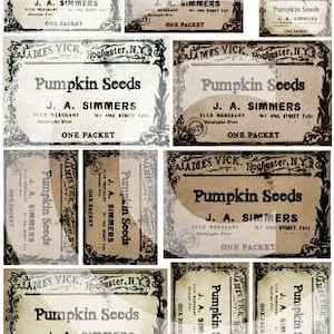 Etichetta Pantry Vintage Semi di zucca Stampa DOWNLOAD IMMEDIATO Etichette Etichetta scatola lattina invecchiata seppia Cucina primitiva Immagine digitale JPG Kim Kohler