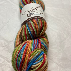 Destash 1 skein Western Sky Knits sock yarn “Rustic Rainbow”