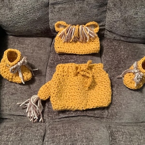 lion outfit/photoprop/costume