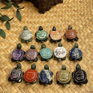 Puede incluir: Una colección de 15 pequeñas figuras de tortugas talladas en varios tipos de piedras de colores. Las tortugas están dispuestas en tres filas de cinco, con cada tortuga mirando hacia adelante. Las piedras utilizadas incluyen amatista, jaspe rojo, aventurina verde, lapislázuli y obsidiana negra.