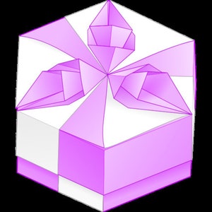 Origami Exuberance Box Tutorial  PDF Booklet