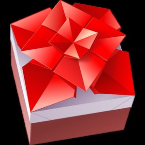 Origami Bow Dacious Box Tutorial  PDF Booklet
